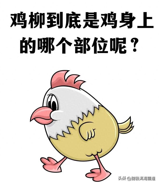 财务看到这一段想死的心都有!景甜的财务扛事进去,出来拿了八万