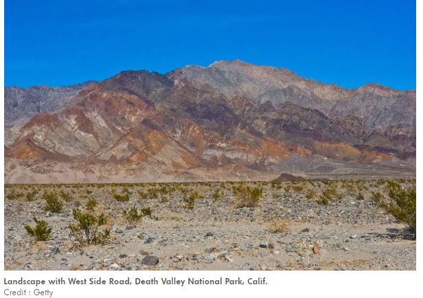 炫富网红给DD做增大手术，几小时后突然人没了？！